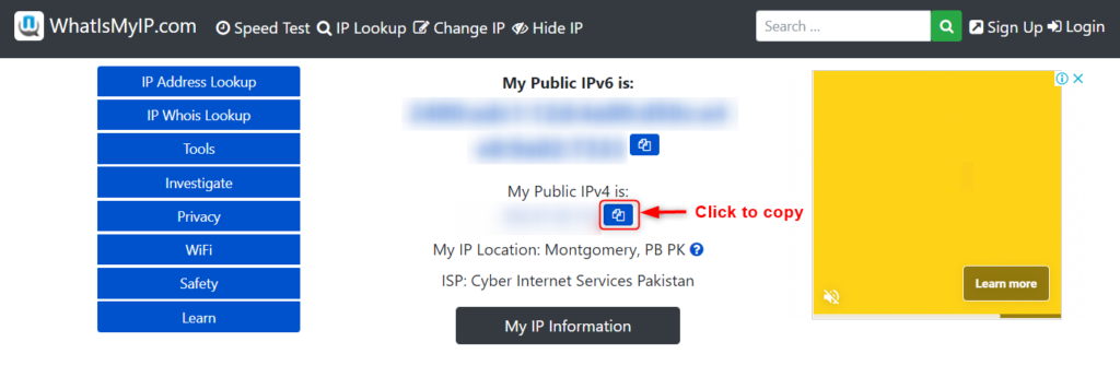 Check My Public IPv4 and click on the Copy icon