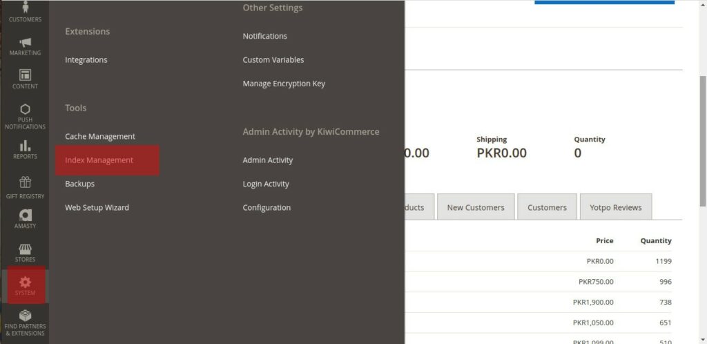 Go to SYSTEM then select the Index Management