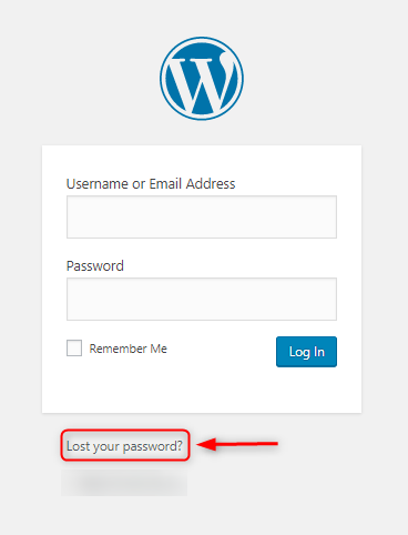 Use “Lost Your Password” Option