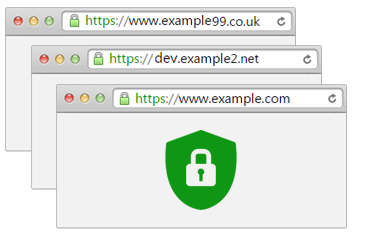 Multi-Domain SSL Certificate